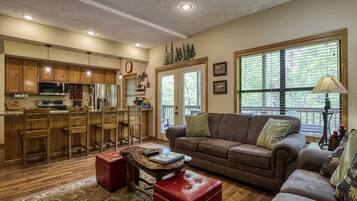 TV, fireplace, video games, DVD player
