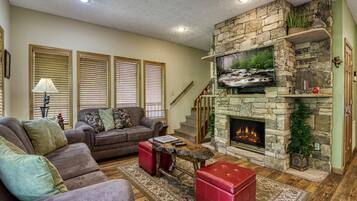 TV, fireplace, video games, DVD player