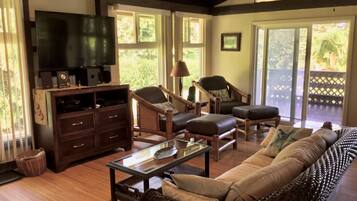 TV, DVD player, books, video library