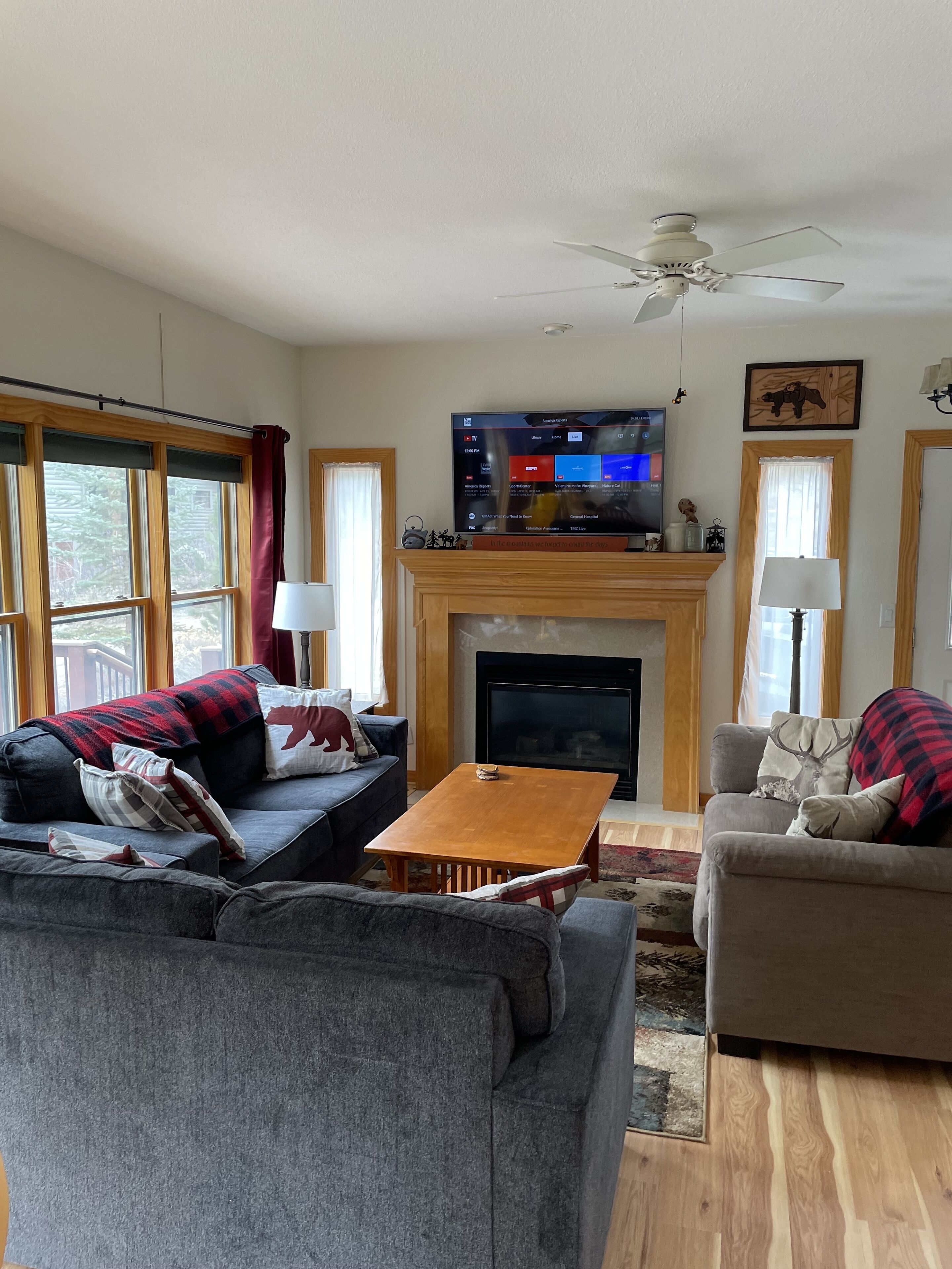Smart TV, fireplace, books