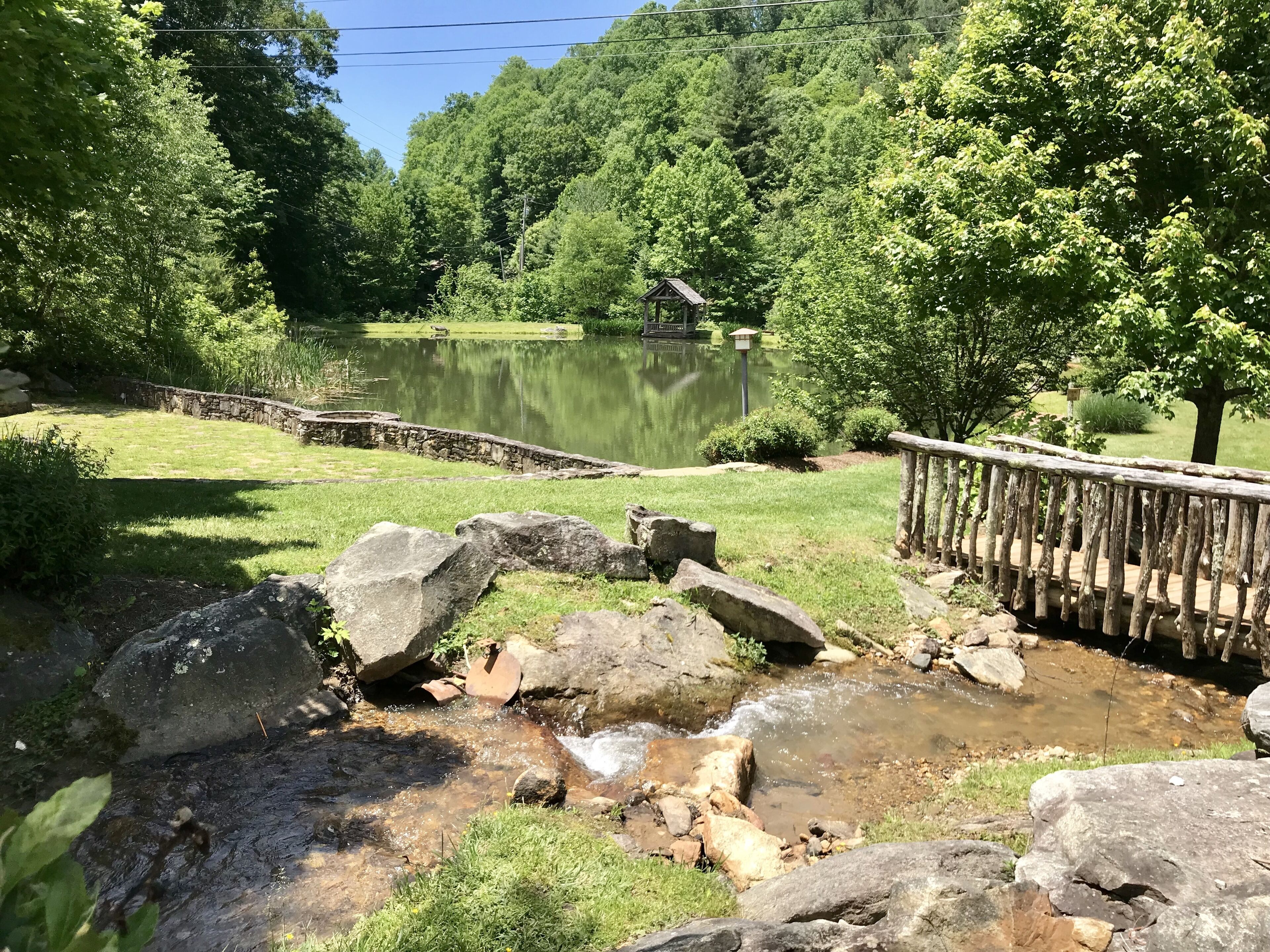 Wolf Laurel Trout Pond