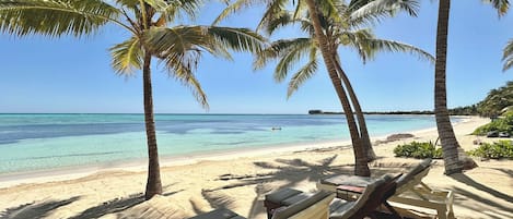 Uma praia com palmeiras, água azul cristalina e espreguiçadeiras.