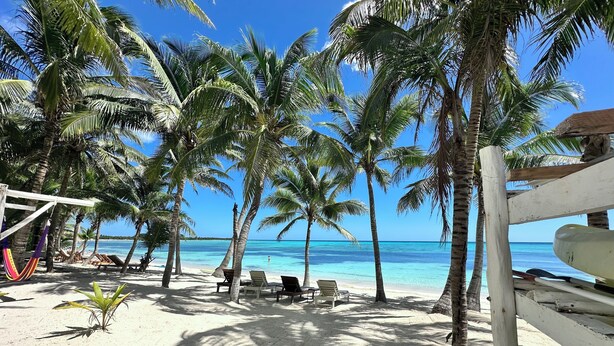 Une plage bordée de palmiers, avec des chaises longues et une structure en bois.