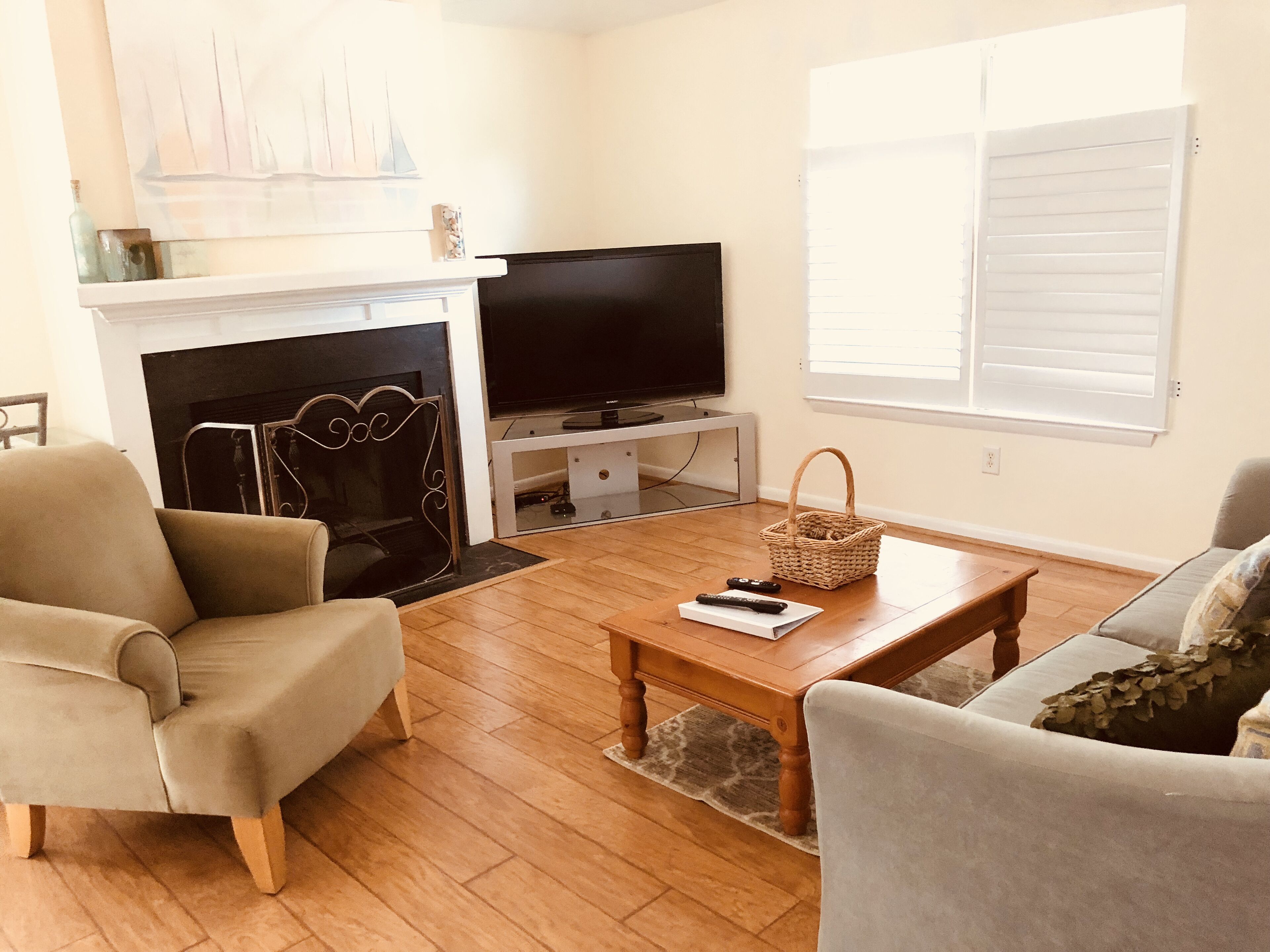 TV, fireplace, books