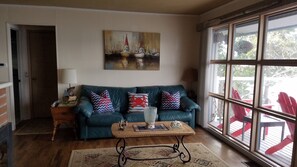 Télévision, cheminée, lecteur de DVD, livres