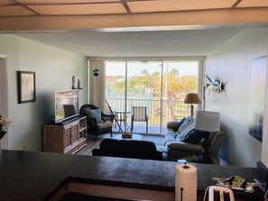 Smart TV, DVD player, books, stereo