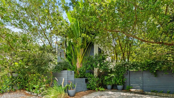 A garden with various plants and a grey fence. - Coconut Grove Dream, located in the heart of the village. Beloved by the sailors (Miami)