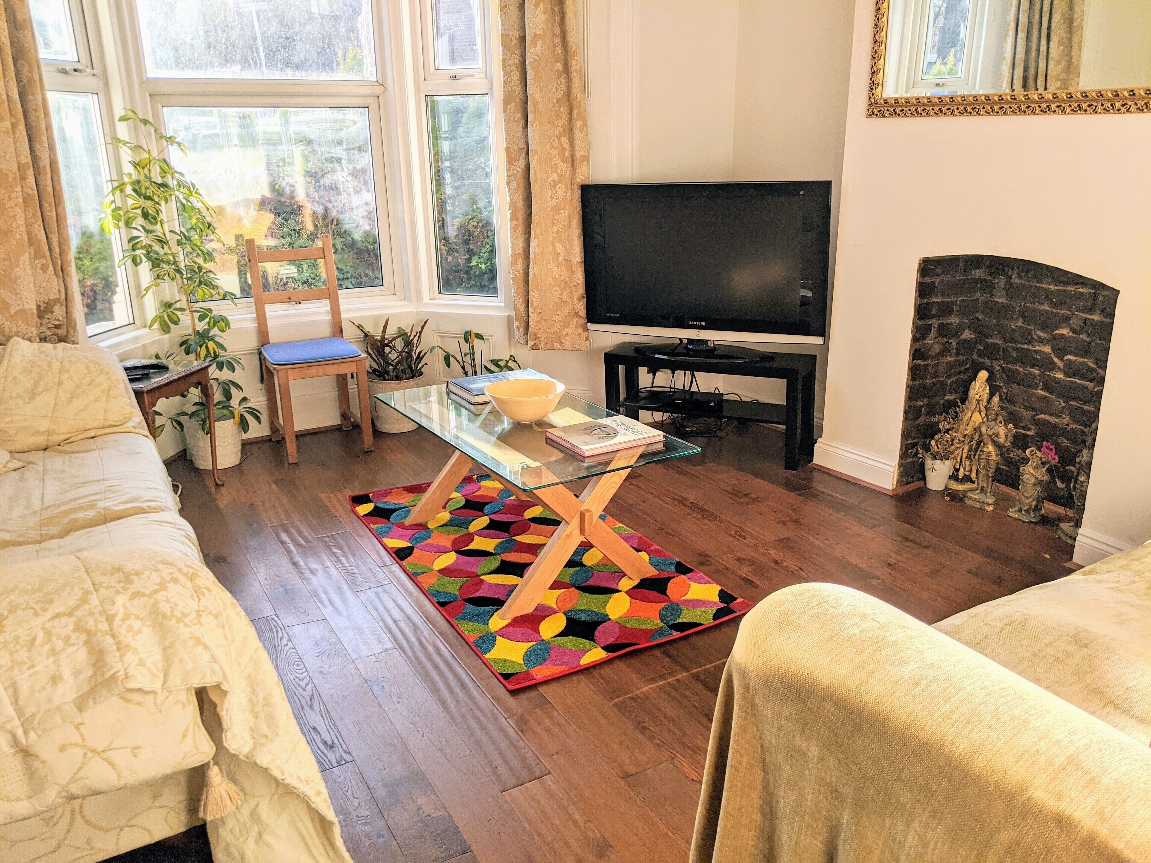 Smart TV, fireplace, books