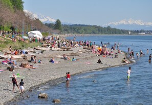 A crowded beach with people relaxing and walking along the shore.
