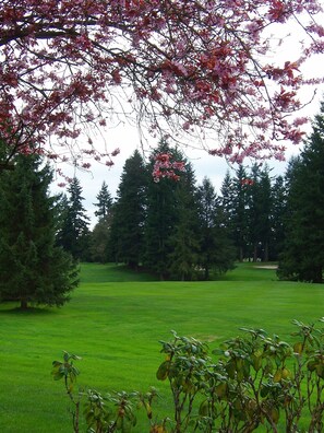 Property grounds - Self Entrance 2 BR, Whole Suite, Close To White Rock Beach & US Border, NEW (Surrey)