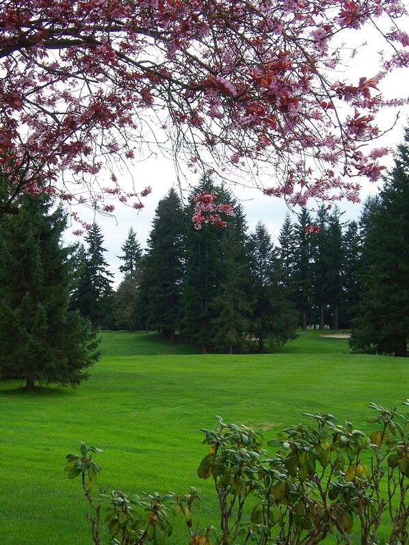 A golf course with a well-maintained green, surrounded by dense evergreen trees.
