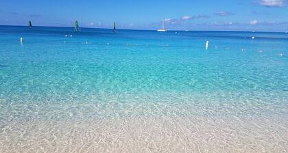 Oceanfront Luxury Villa, Seven Mile Beach