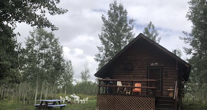 Bear Bait Cabin is cozy and rustic overlooking beautiful aspen trees