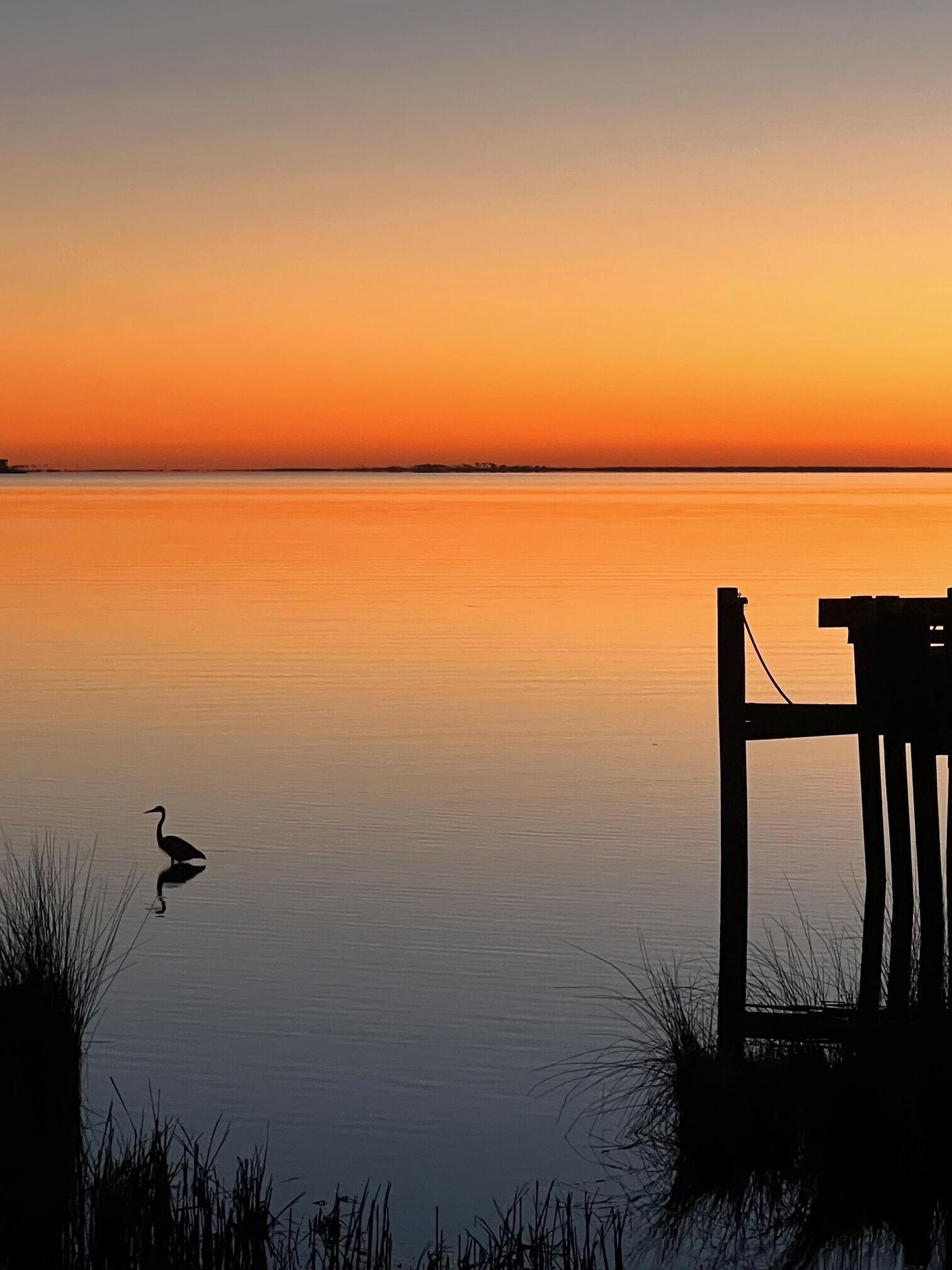 Un coucher de soleil paisible sur une étendue d’eau calme, avec un quai et la silhouette d’un oiseau.