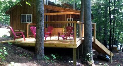 Gorgeous Muskoka Waterfront Cottage Tall Pines Prime Swimming 10 Acres
