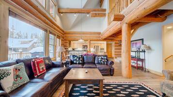 TV connectée, cheminée, lecteur de DVD, médiathÚque