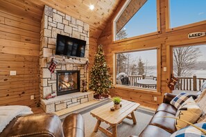 Fernseher, Kamin, DVD-Player, Bücher