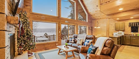 Télévision, cheminée, lecteur de DVD, livres