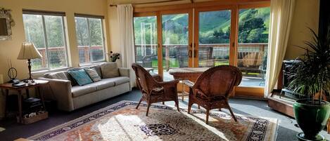 Smart TV, chimenea, reproductor de DVD, libros