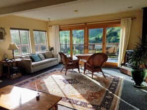 TV connectée, cheminée, lecteur de DVD, livres