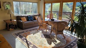 TV connectée, cheminée, lecteur de DVD, livres