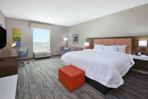 Room, 1 King Bed with Sofa bed, Accessible, Refrigerator & Microwave (Hearing)