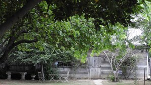 Un edificio rústico de madera con puerta de madera, rodeado de un jardín y un sendero que conduce a él.