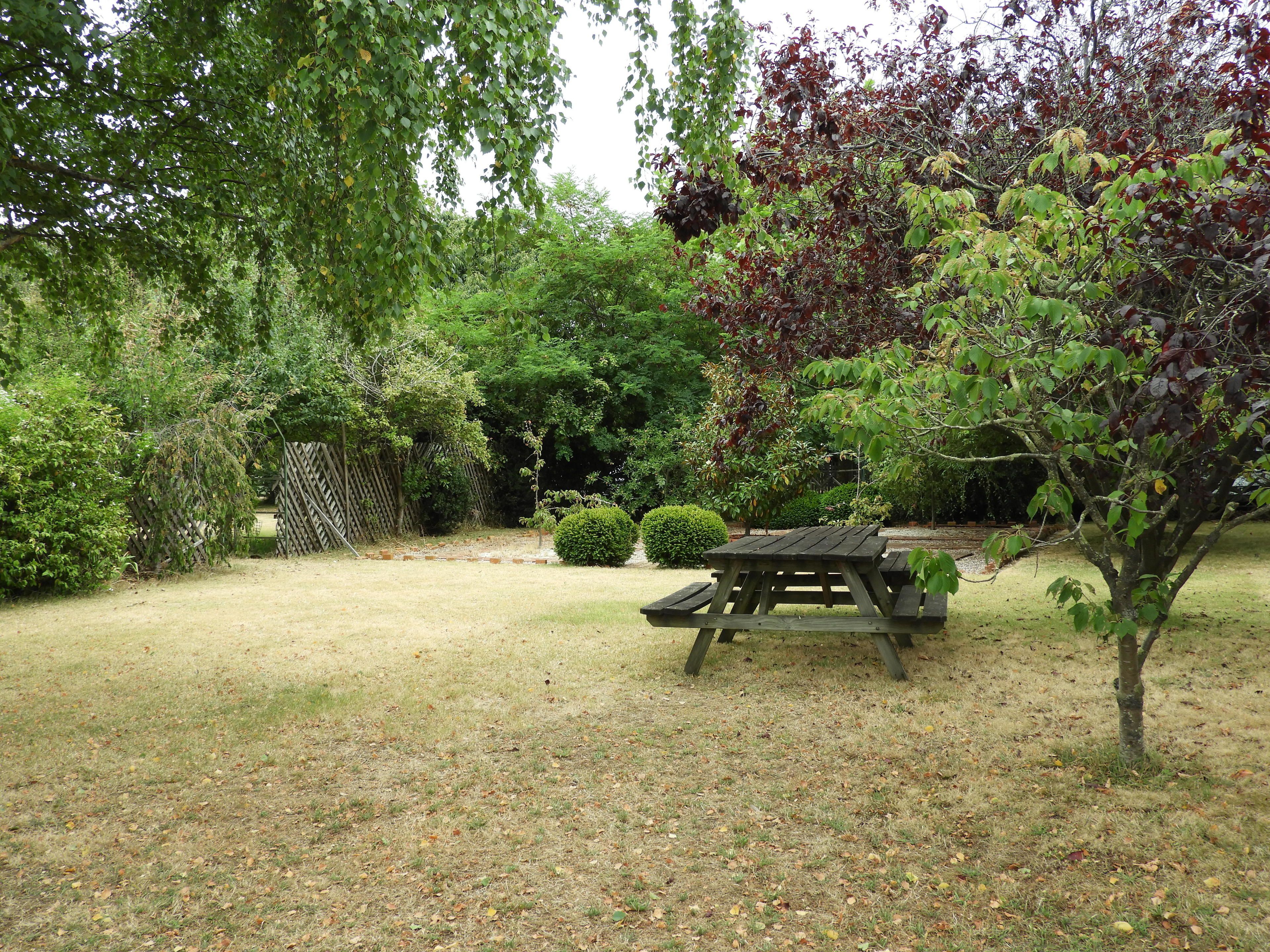 Ein Holztisch für ein Picknick auf einer grünen Wiese, im Hintergrund Bäume und ein Holzzaun.