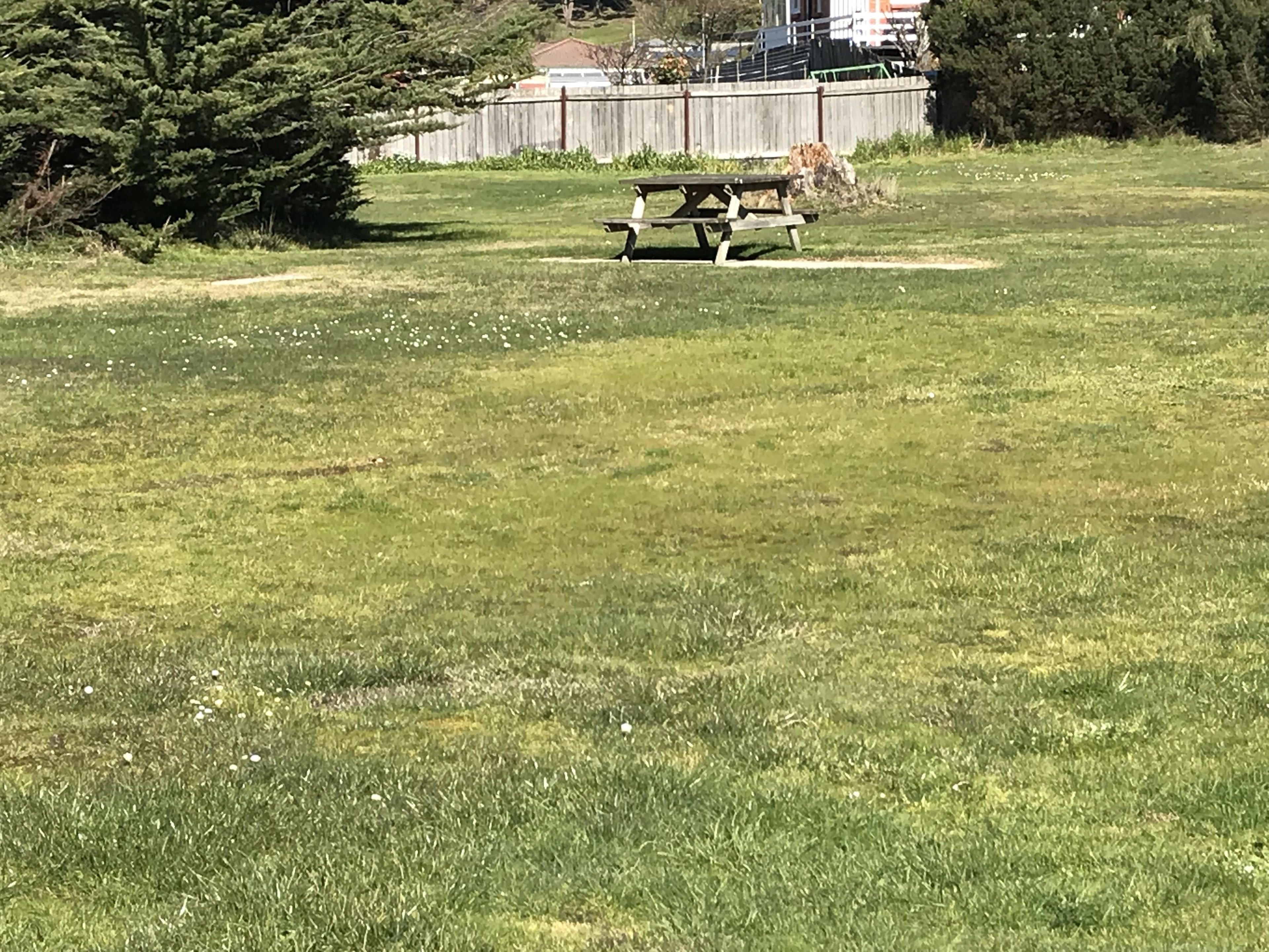 Een grasveld met een picknicktafel en een houten omheining op de achtergrond.