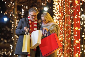Literie de qualité supérieure, coffres-forts dans les chambres, bureau