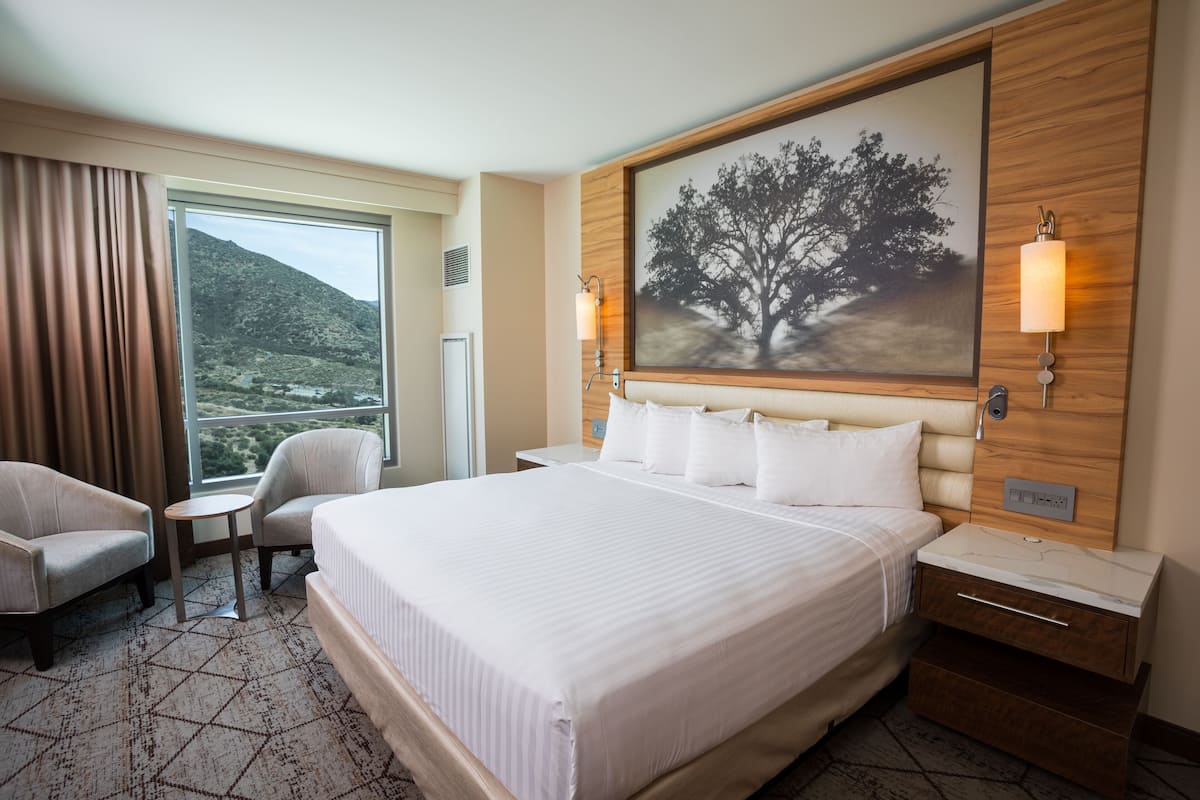 A hotel room with a large bed, two armchairs, a small table, a nightstand, and a painting of a tree.
