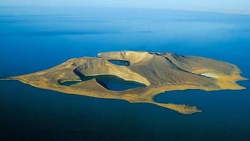 Helicopter/plane tours