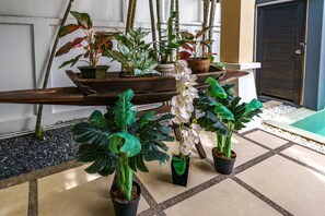 Enceinte de l’hébergement