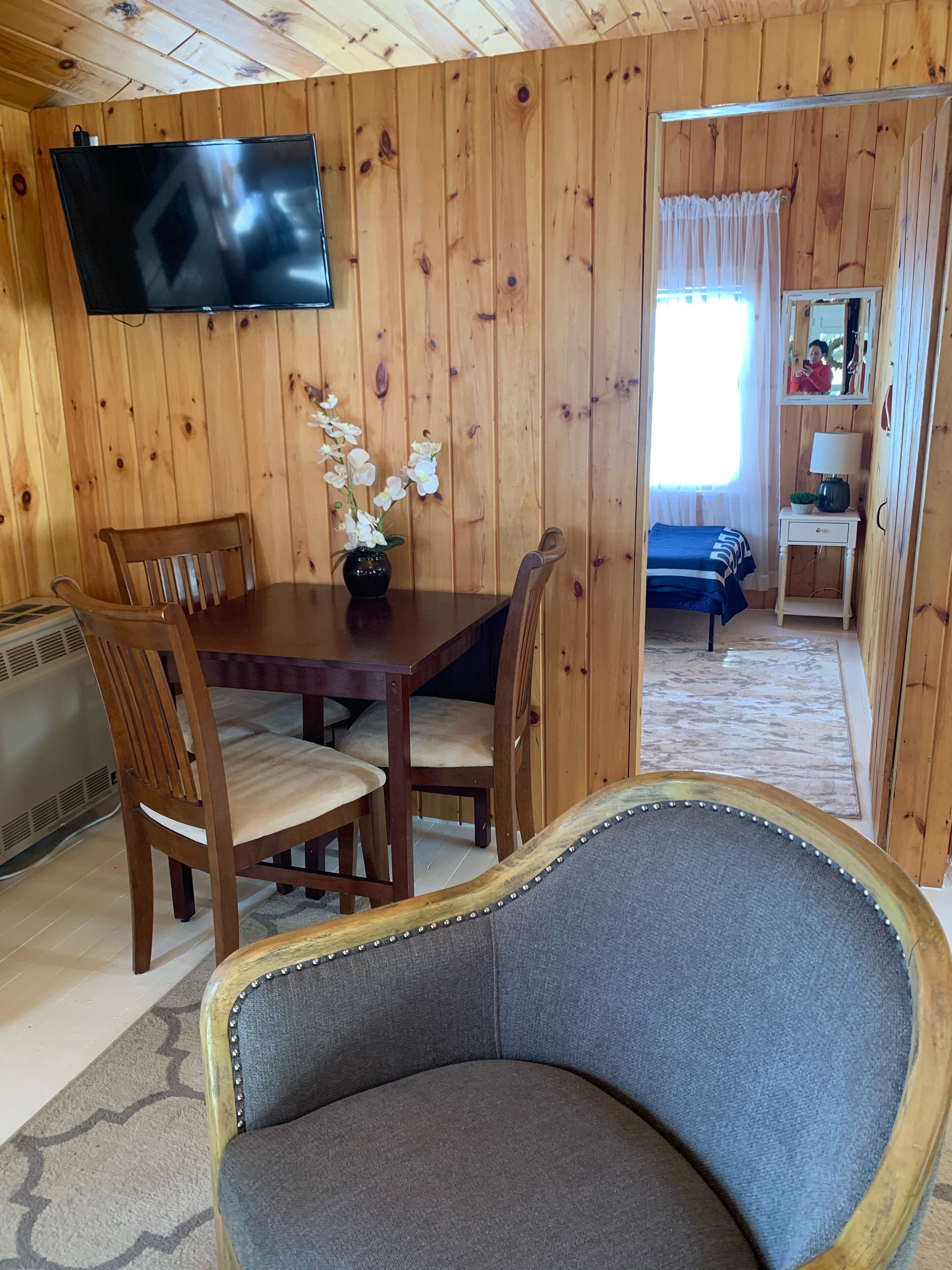 A wooden-paneled room with a dining table, chairs, a television, a sofa, and a small cabinet.