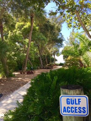 Property grounds - Handicap accessible house one minute from a beach with a heated pool. (redington beach)