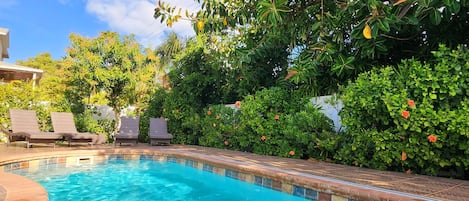 Una piscina al aire libre, una piscina climatizada