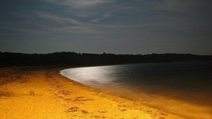 Een strand bij nacht met een volle maan, kalm water en een zandstrand.