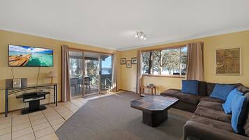 薄型テレビ、暖炉、DVD プレーヤー、書庫