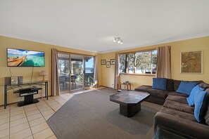 Flat-screen TV, fireplace, DVD player, books