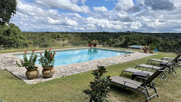 Une piscine rectangulaire bordée de pierres, entourée de pelouse et de plantes en pot.