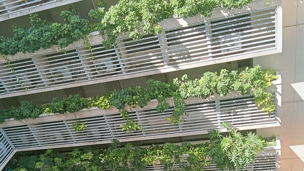 Un immeuble résidentiel à plusieurs étages, doté de balcons, d’une piscine et d’une végétation luxuriante.