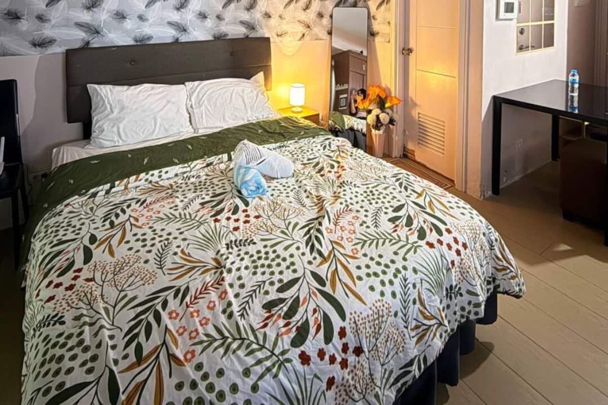 Escritorio, tabla de planchar con plancha, wifi gratis y ropa de cama