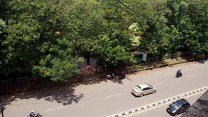 A road with vehicles, surrounded by dense green foliage and a fence. - Viva Guest House (Panaji)
