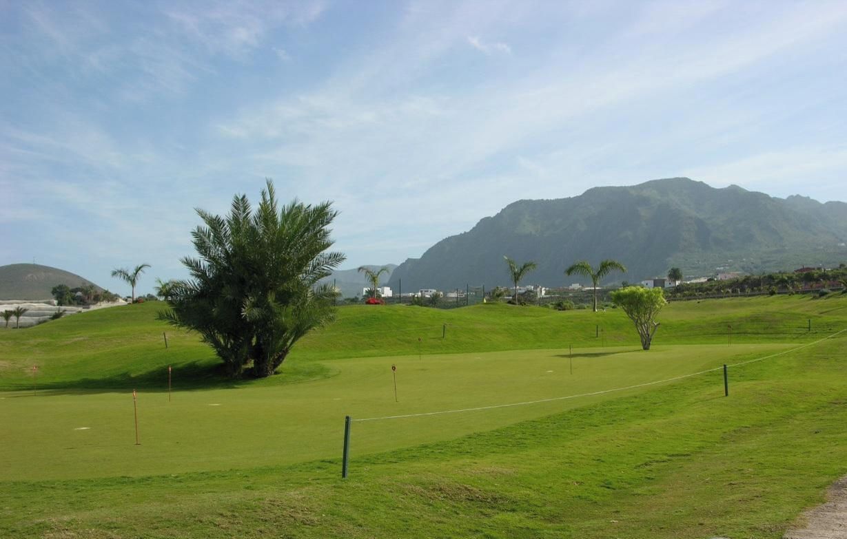 Un terrain de golf avec un ciel dégagé, un grand arbre et une montagne en arrière-plan.