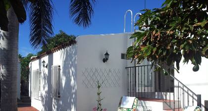 New Very Private Cottage In Avocado-Plantage