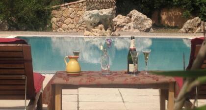 Beautiful villa, exceptional pool, central location for Cannes, Nice, St. Tropez