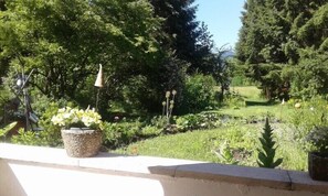 Terrain de l’hébergement 