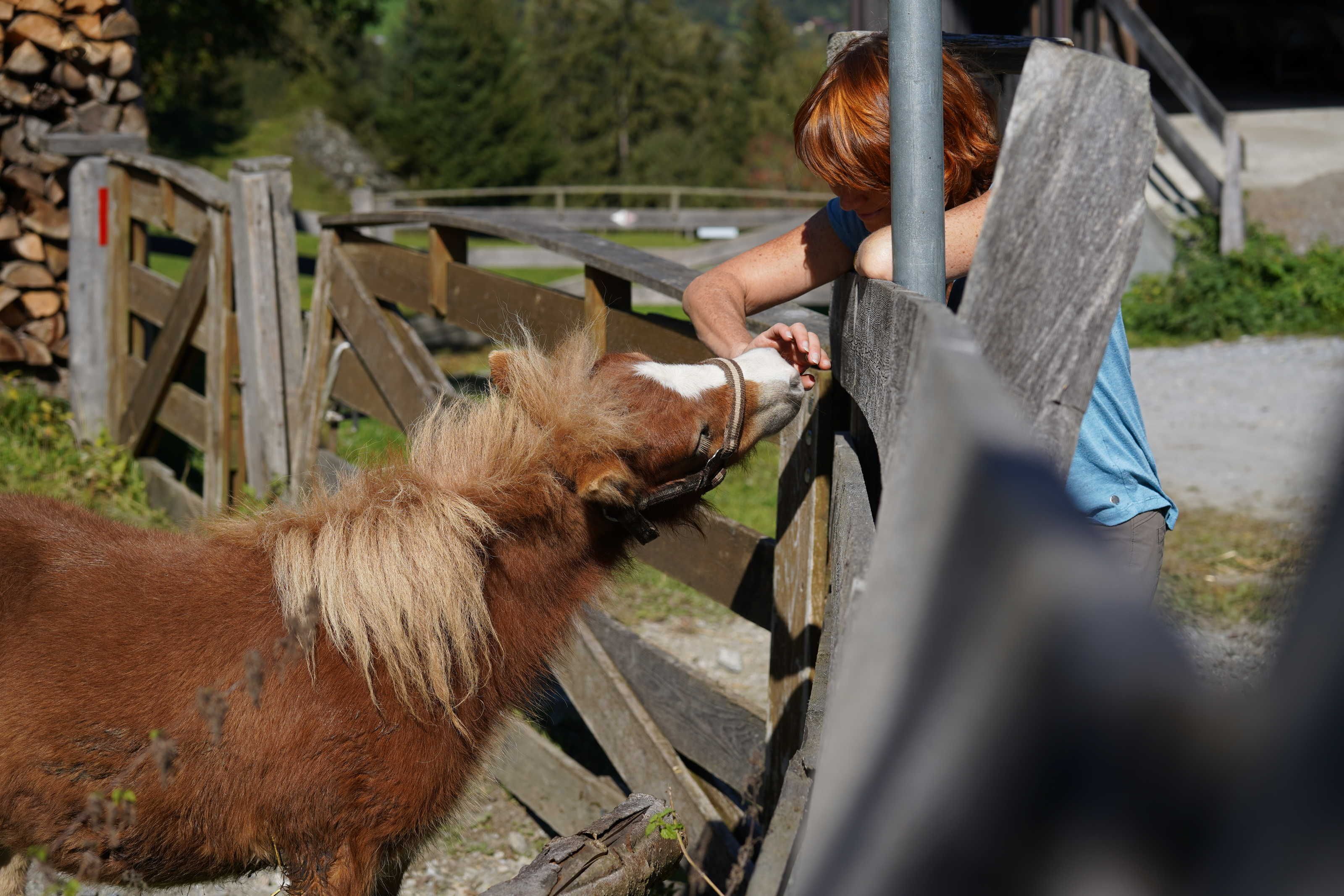 A wooden fence with a person feeding a horse.