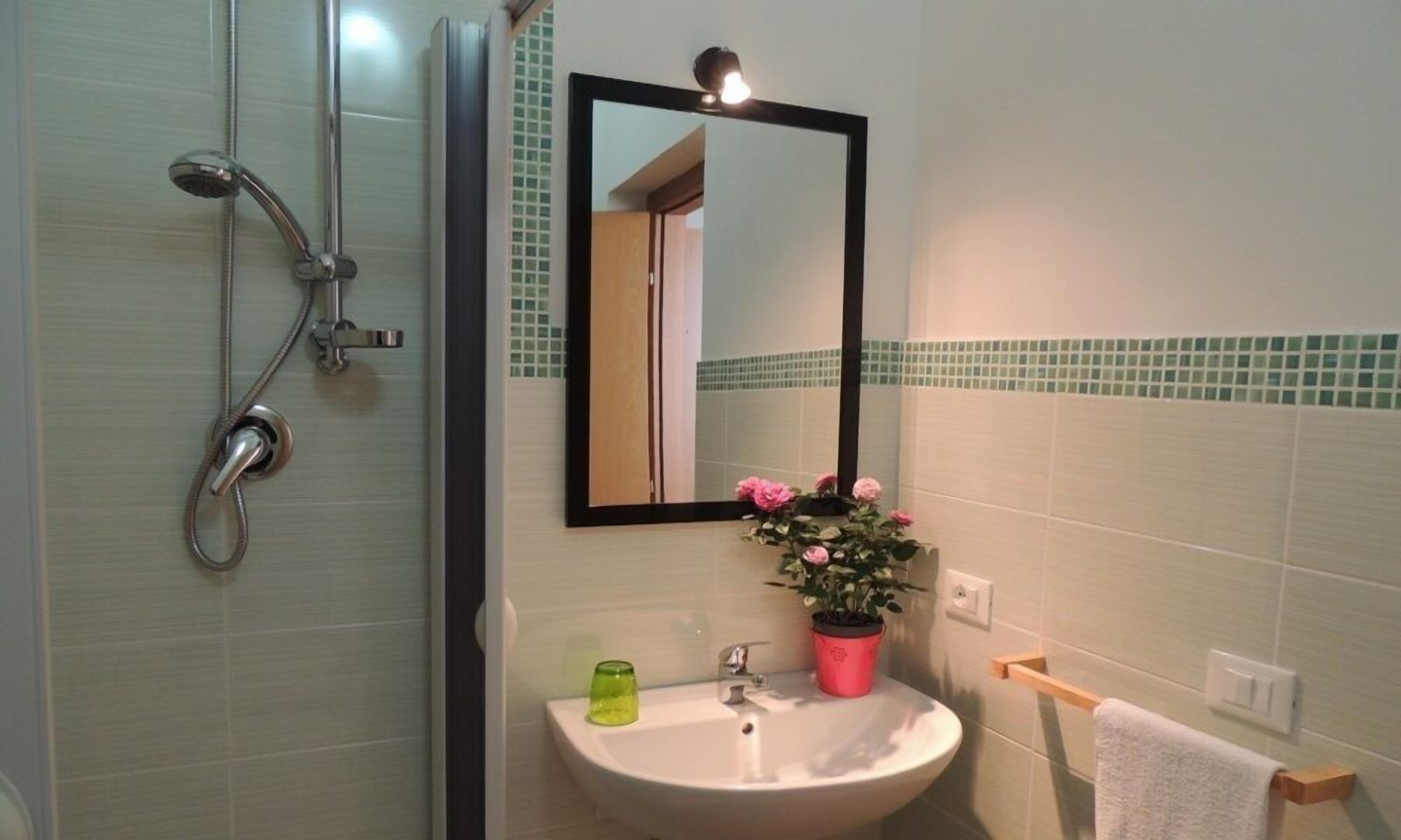 A bathroom with a shower, sink, mirror, and a potted plant.
