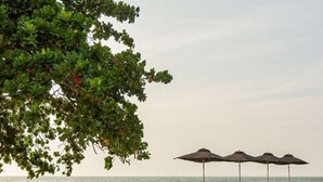 Une plage avec des chaises longues et des parasols, un bateau sur l’eau et un arbre au premier plan.